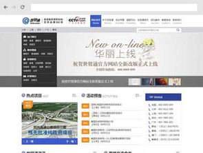 沙漠風網站建設 打造旅游移民公司的數字名片與業務引擎