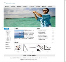 網度 專業網站建設，塑造您的數字化未來——產品6025